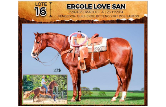 ERCOLE LOVE SAN